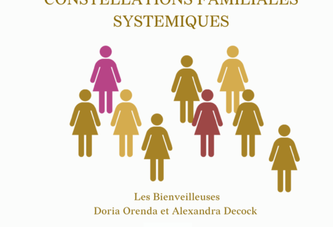 Formation constellations familiales systèmiques